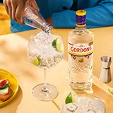 Gordon's Dry Gin